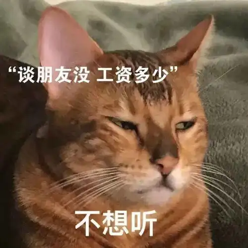  第56期喵表情没有困难的工作,只有勇敢的打工人