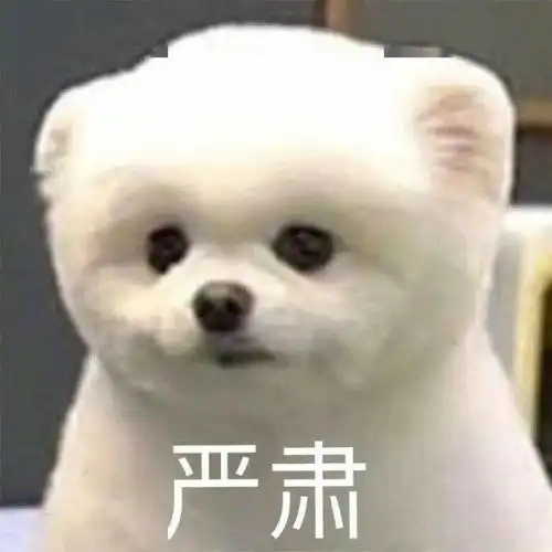  求赶紧立法准研究生借宿,把屋主的狗打成重伤后逃跑