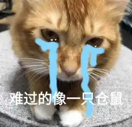  猫系沙雕表情包,可爱又捧腹大笑,斗图够沙雕