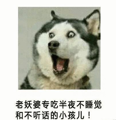  哈士奇表情包,天生自带表情包的傻狗二哈