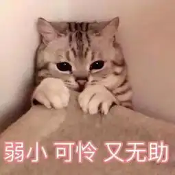  高铁坐过站了咋办今天才知道有个这么大的福利