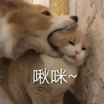  注意29号台风天兔生成在即海南小雪后即将迎来雨雨雨