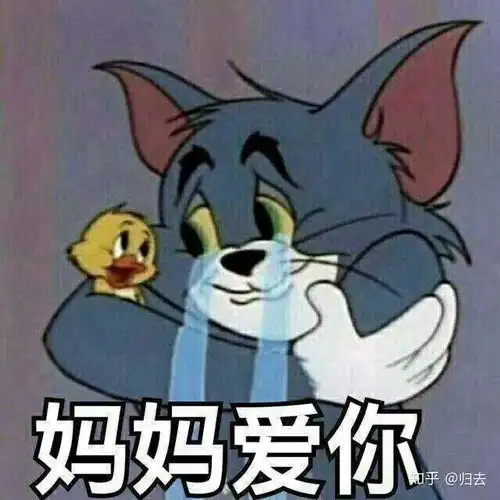 隐秘的角落表情包视频猫