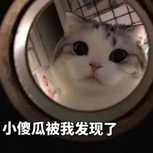  好气,也要保持微笑第205期喵表情