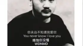 茄子wdnmd表情包高清