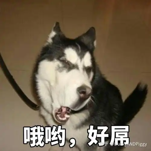 哈士奇吐舌头表情包小舌