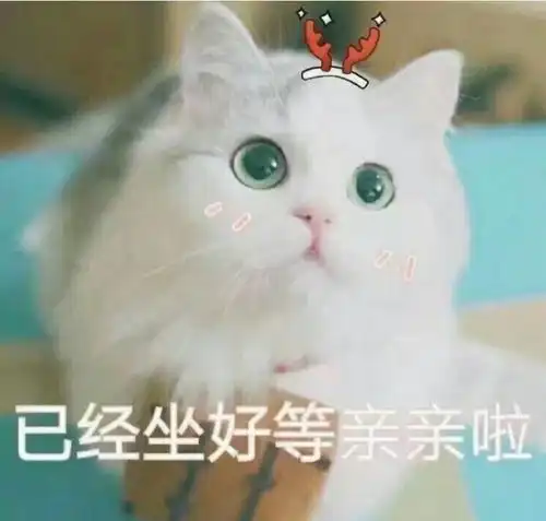  喵星人不装点b格怎么萌呢