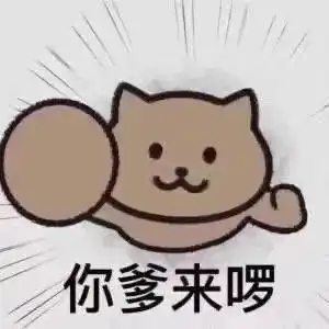  可爱的表情包来了,斗图必备神图
