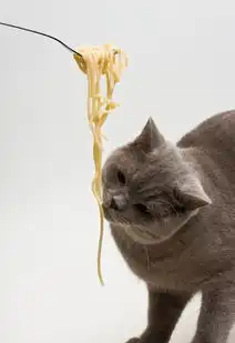  猫几天不拉屎正常,猫咪几天拉屎正常