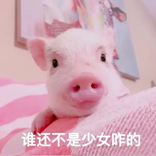 老牛吃嫩草表情包动图瞎
