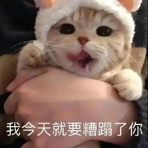  表情包收手吧阿祖