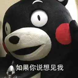  求求你了漂亮姐姐猫咪表情包猫咪求求漂亮姐姐表情