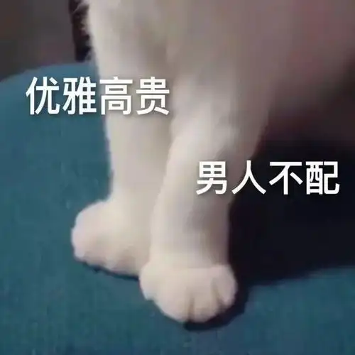  搞笑表情包