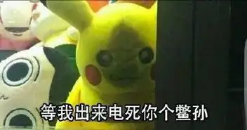 斗图斗不过了表情包皮卡
