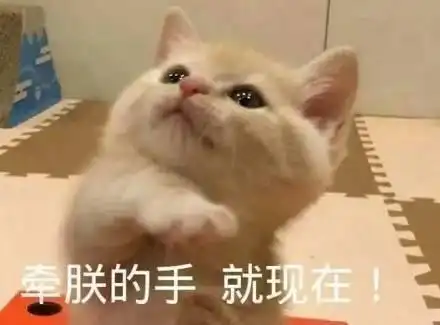  爆可爱的萌宠表情包看什么看啊,没看过别人亲热吗