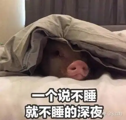 无聊的延长的宅寒假不,我们可以改变它给当前因疫情宅在家的大学生的资深建议良心干货