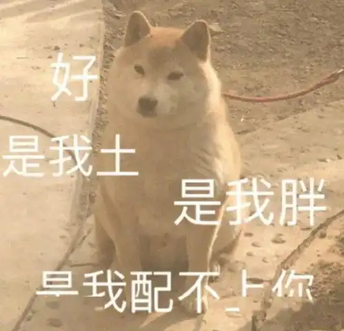  你可以不养狗,但一定要有表情包