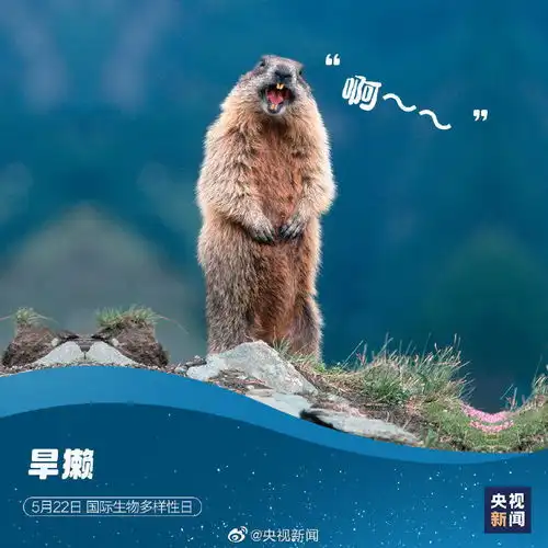 国际生物多样性日,请查收这些神奇动物表情包