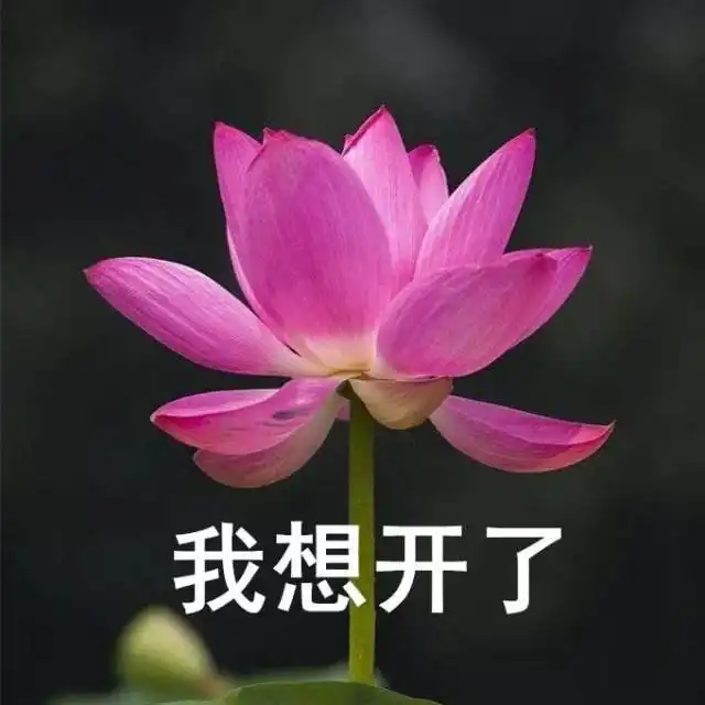  国内专柜3万2买的dior包,用两次就掉色专柜送你一瓶迪奥香水吧徐女士