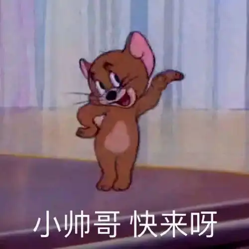  斗图表情包合集不知该哭还是该笑