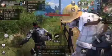  明日之后玩家把明日当第五人格玩,感染者都被遛哭了