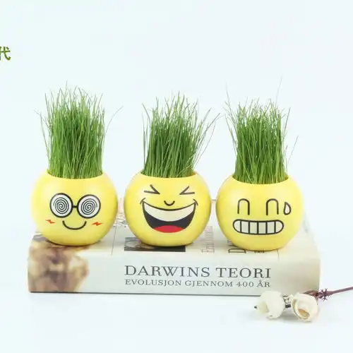  创意迷你小盆栽桌面盆栽diy创意可爱幼儿园儿童种植可爱表情盆栽