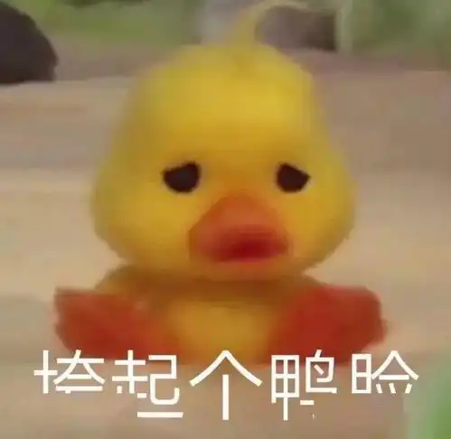  那个很火的小鸭子表情包