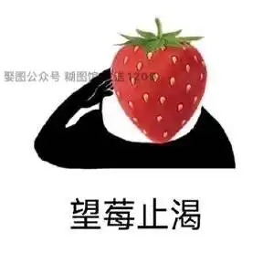  水果谐音梗表情包丨橙交表情包