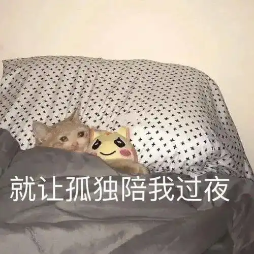  沙雕猫猫表情包