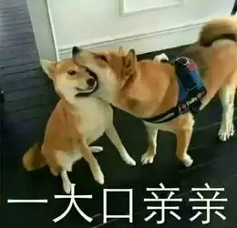  好好照顾你自己,按时喝酒抽烟,好好熬夜没事多玩手机,一切都会变好的表情包推送