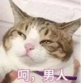  男子面红耳赤心态崩溃,只因发现了两任前女友的真实身份