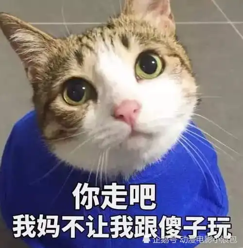  开心一笑你凭啥说是我就是你,因为整个电影院就我们两个人