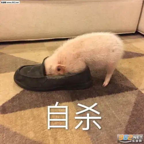 聊着聊着就不回复了表情