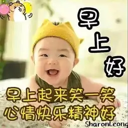  群发清晨早上好问候动态表情图片2019最美早安动态图片表情