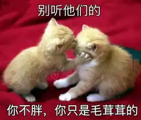  2018来了,为你2017做的年终总结,看看你有没有中枪