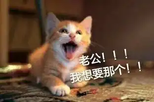  老公你在哪表情包
