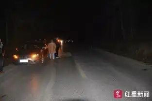  男子酒驾撞死人找姐夫顶包警方连审5人现破绽