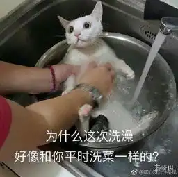  抢了我女友还给我开绿钻囧图把老婆背上一起走