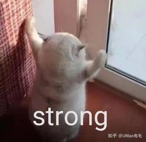 小黑猫的表情包沙雕