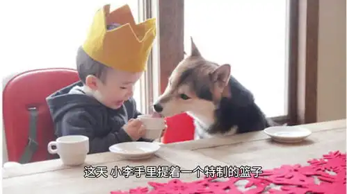  饲养员给河马吃榴莲,只吃了一口就开始甩头,请忍住不要笑