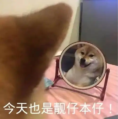  表情包宝贝长宝贝短,宝贝生气又不管