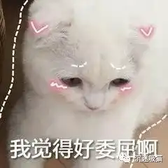  超多猫咪可爱表情包吸猫患者福音来斗图啊,信不信我萌死你