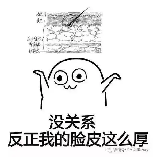  今日份表情包