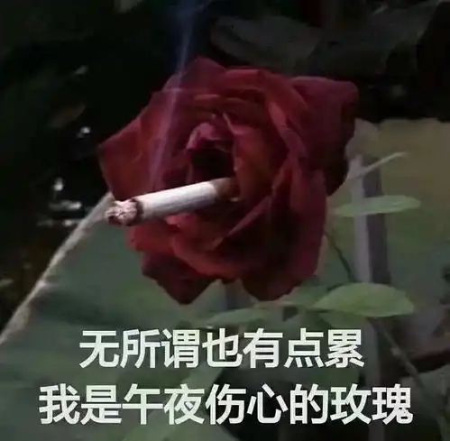 大笑动图表情包守国