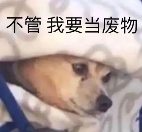  表情包小女孩抖音表情包在哪看0720期
