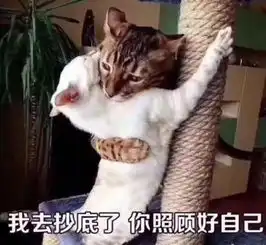 小黑猫的表情包小鱼干