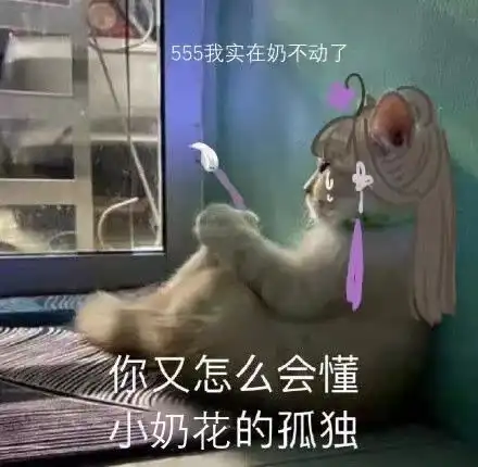  为什么要违背祖训剑三奶花交星楼奶队友,却被嫌弃怎么被抓死了