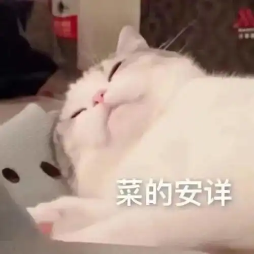  我有罪请让律例制裁我,而不是被这些双不修偃甲反复折磨