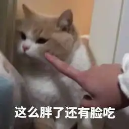  十条笑话情人节应该送老婆什么呢,是戒指还是玫瑰