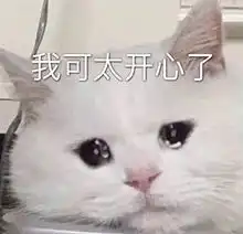  沙雕可爱表情包人间小甜瓜